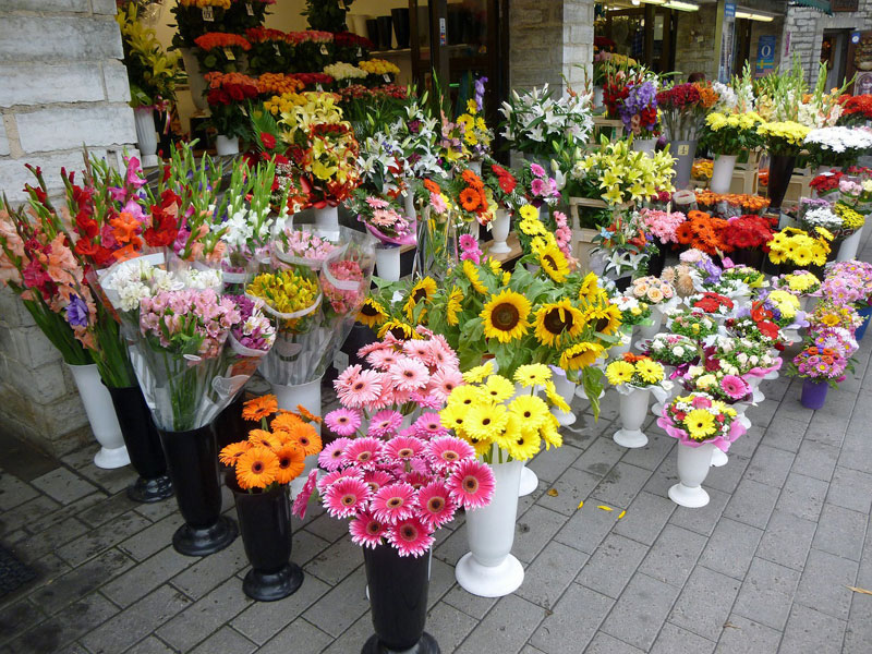 Hvor kan man købe blomster?